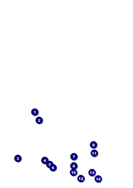 Dinosaur Club Flyer Front Field Markers