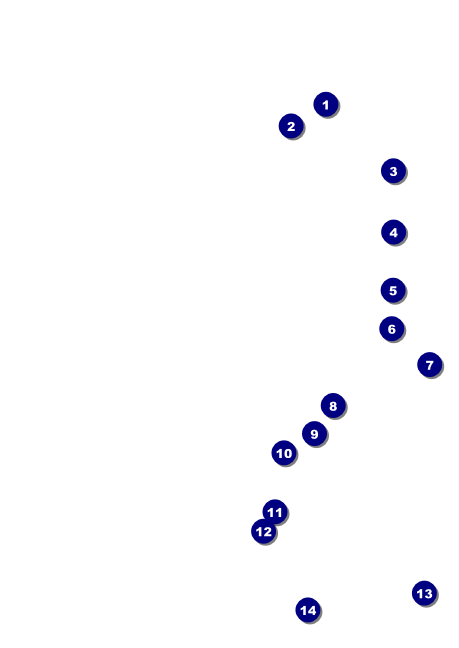 Retro Sunburst Postcard Front Field Markers