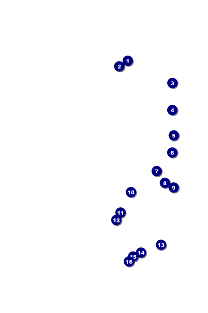 Retro Sunburst Poster Front Field Markers