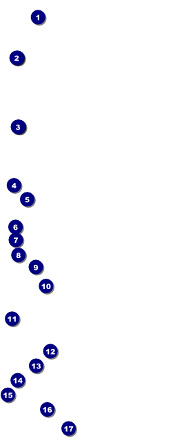 Western VIP Pass Front Field Markers