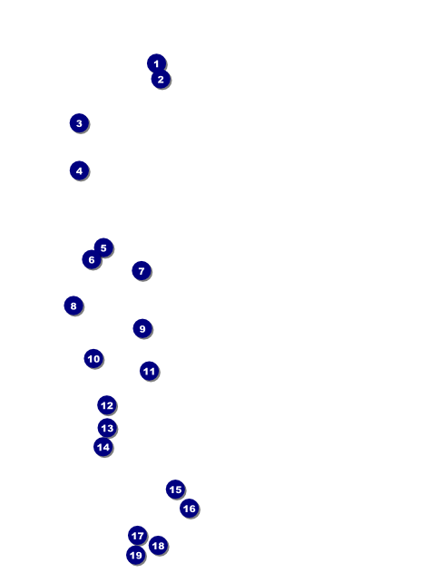 Blue Jeans Flyer Front Field Markers