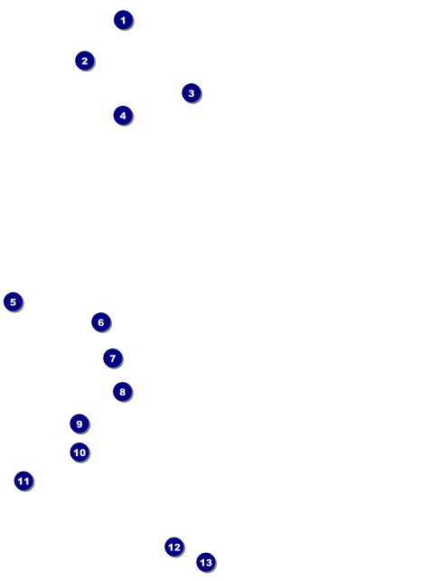 Blue Flower Flyer Front Field Markers