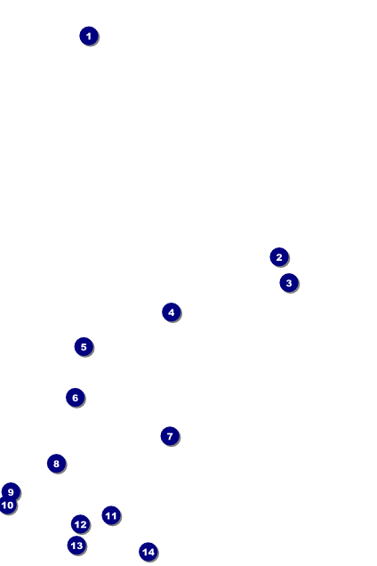 Bridal Poster Front Field Markers