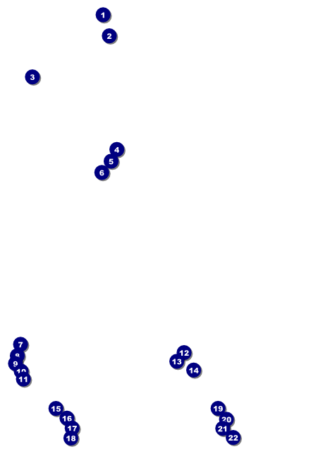 Dinosaur Illustrated Flyer Front Field Markers
