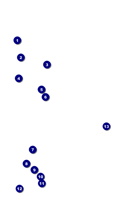 Pig Roast Drink Ticket Front Field Markers