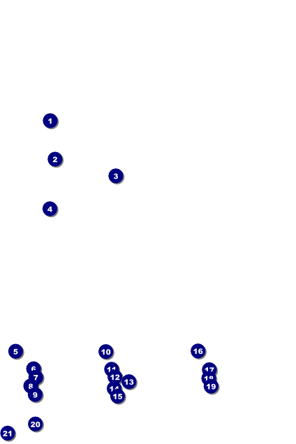 Pig Roast Poster Front Field Markers