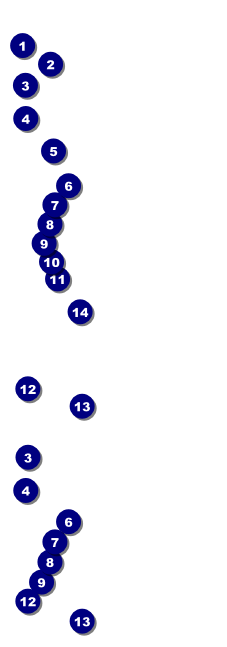 Red Rose Event Ticket with image upload Front Field Markers