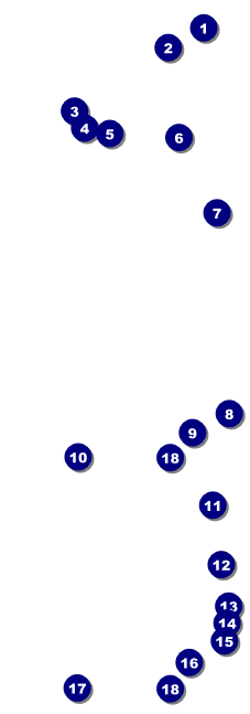 Paradise Event Ticket Front Field Markers