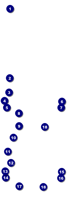 Sixties Event Ticket Front Field Markers