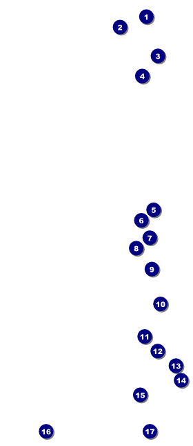 Spanish Flag VIP Pass Front Field Markers