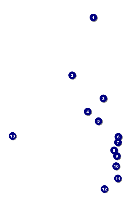 Royal VIP Event Badge Medium Front Field Markers