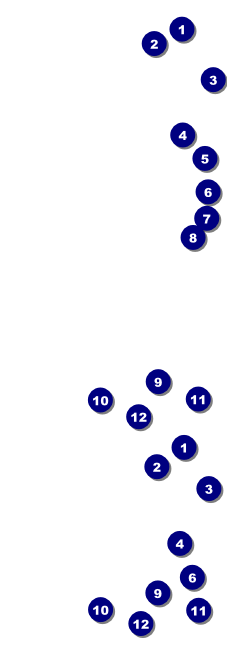 Dandelion Reserved Event Ticket Front Field Markers