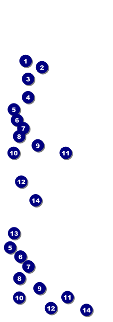 Home Improvement Reserved Event Ticket Front Field Markers