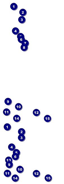 Ice Skating Reserved Event Ticket Front Field Markers