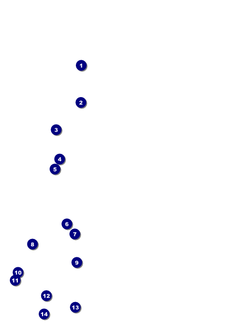 Fall Simple Flyer Front Field Markers