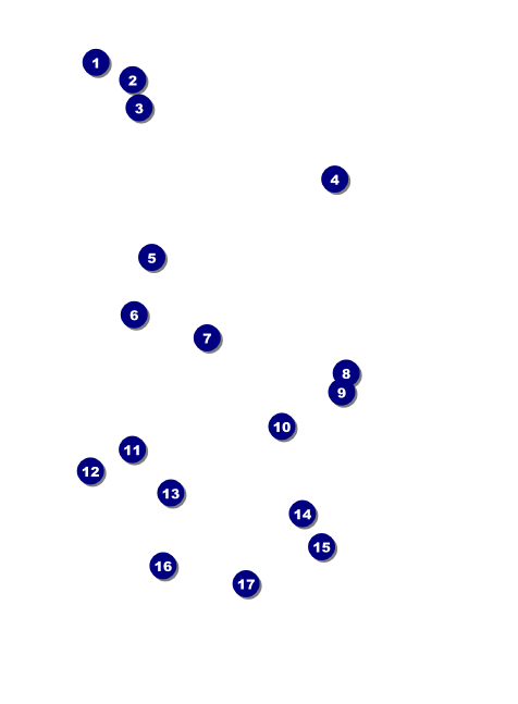 Spring Festival 3 Invitation Front Field Markers