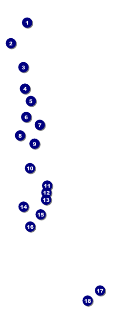 Masquerade Ball 2 VIP Pass Front Field Markers