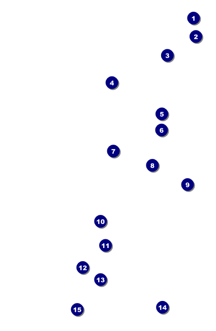 Chinese New Year Rooster Drink Ticket Front Field Markers