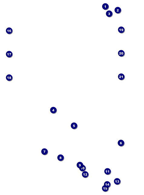 Chinese New Year Rooster Image Flyer Front Field Markers