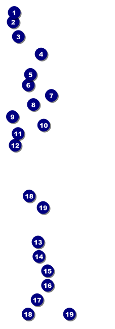 Chinese New Year Ox Raffle Ticket Front Field Markers