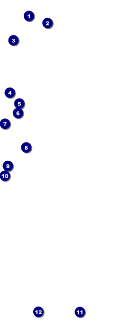 Raas Garba VIP Pass Front Field Markers