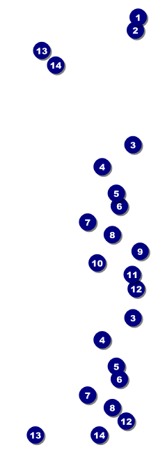 Chinese New Year Tiger Event Ticket Front Field Markers