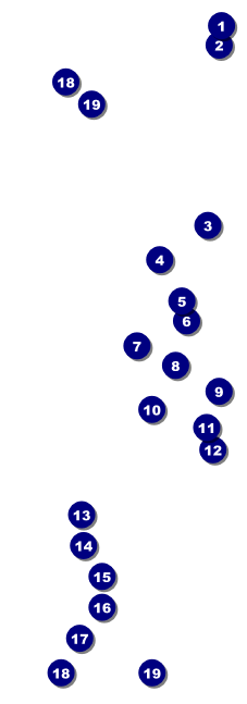Chinese New Year Tiger Raffle Ticket Front Field Markers