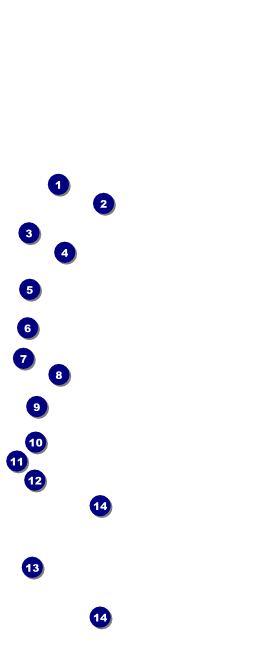 Rochester Hang Tag Front Field Markers