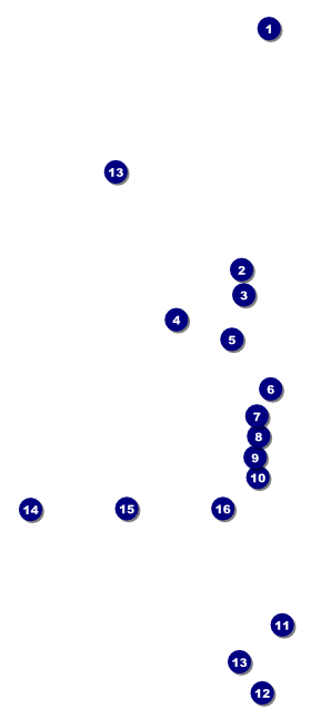 Leukemia Hang Tag Front Field Markers