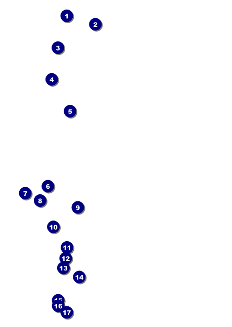 Murder Mystery Postcard Mailer Front Field Markers