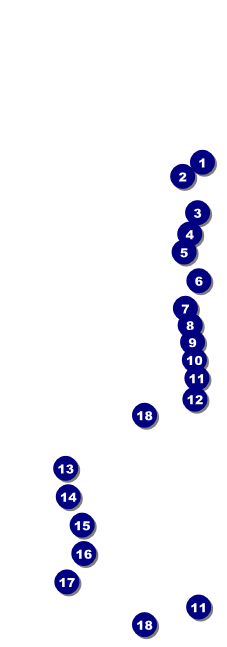 Martin Luther King Jr. Raffle Ticket Front Field Markers