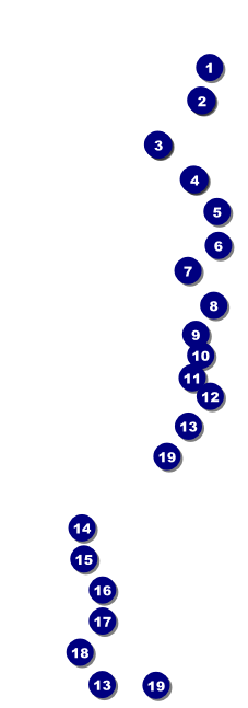 Stag and Doe Pattern Raffle Ticket Front Field Markers