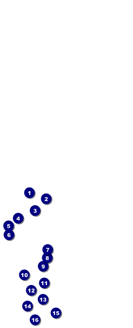 Red, White, and Blue Stars Table Tent Front Field Markers