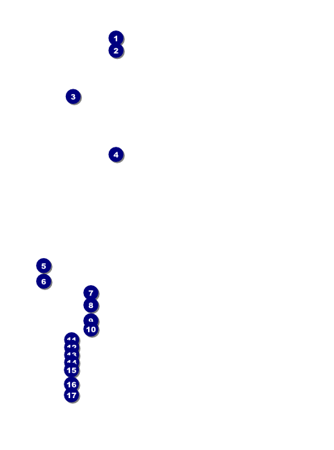 African Theme Flyer Front Field Markers