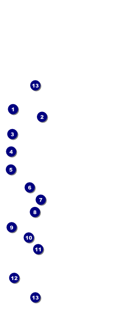 Spider Web Hang Tag 001 Front Field Markers
