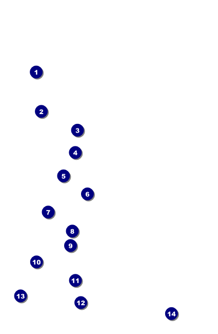 Car Show Speed Dial Drink Ticket Front Field Markers