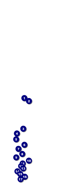 Haunted House  Table Tent Front Field Markers