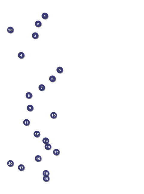 Year Flyer (Blue) Front Field Markers