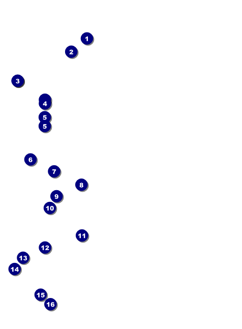 Mixed Martial Arts (Green) Invitation Front Field Markers
