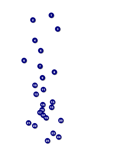 Symphony Flyer Front Field Markers