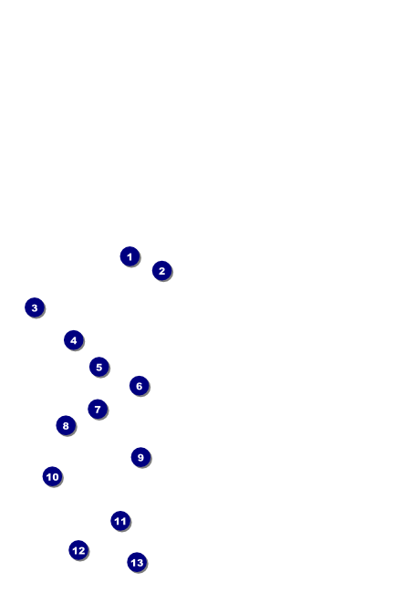 Military Ball - The Salute Poster Front Field Markers