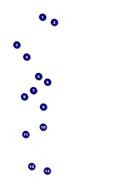 Military Ball - US Flags Invitation Front Field Markers