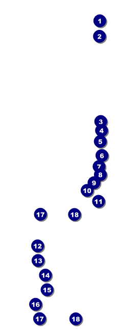 High Holidays Raffle Ticket Front Field Markers
