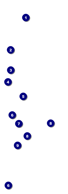 Vineyard QR Event Ticket Front Field Markers