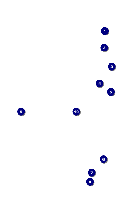 All Purpose Blue VIP Event Badge Medium Front Field Markers