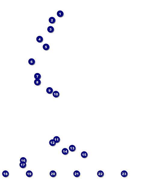 Tampa Bay Logo Flyer Front Field Markers