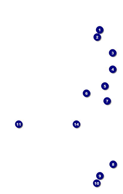 All Purpose Hex VIP Event Badge Medium Front Field Markers