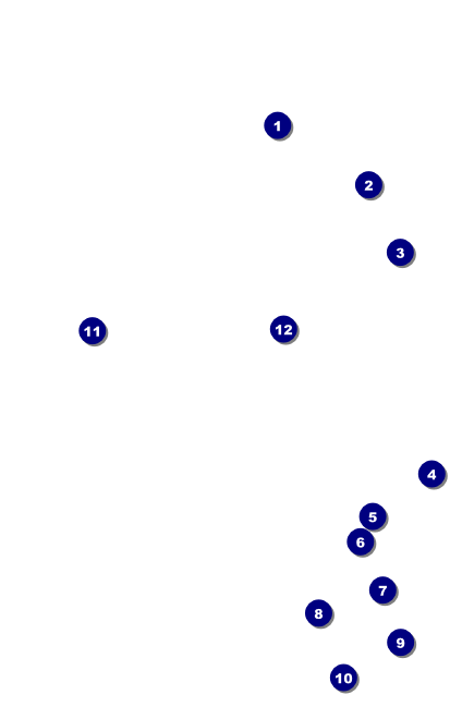 All Purpose Lights VIP Event Badge Medium Front Field Markers