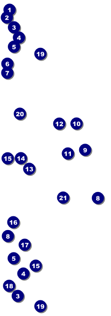 All Purpose Big Logo Event Ticket (Black & White) Front Field Markers