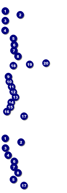 Roller Derby Jammer Event Ticket Front Field Markers